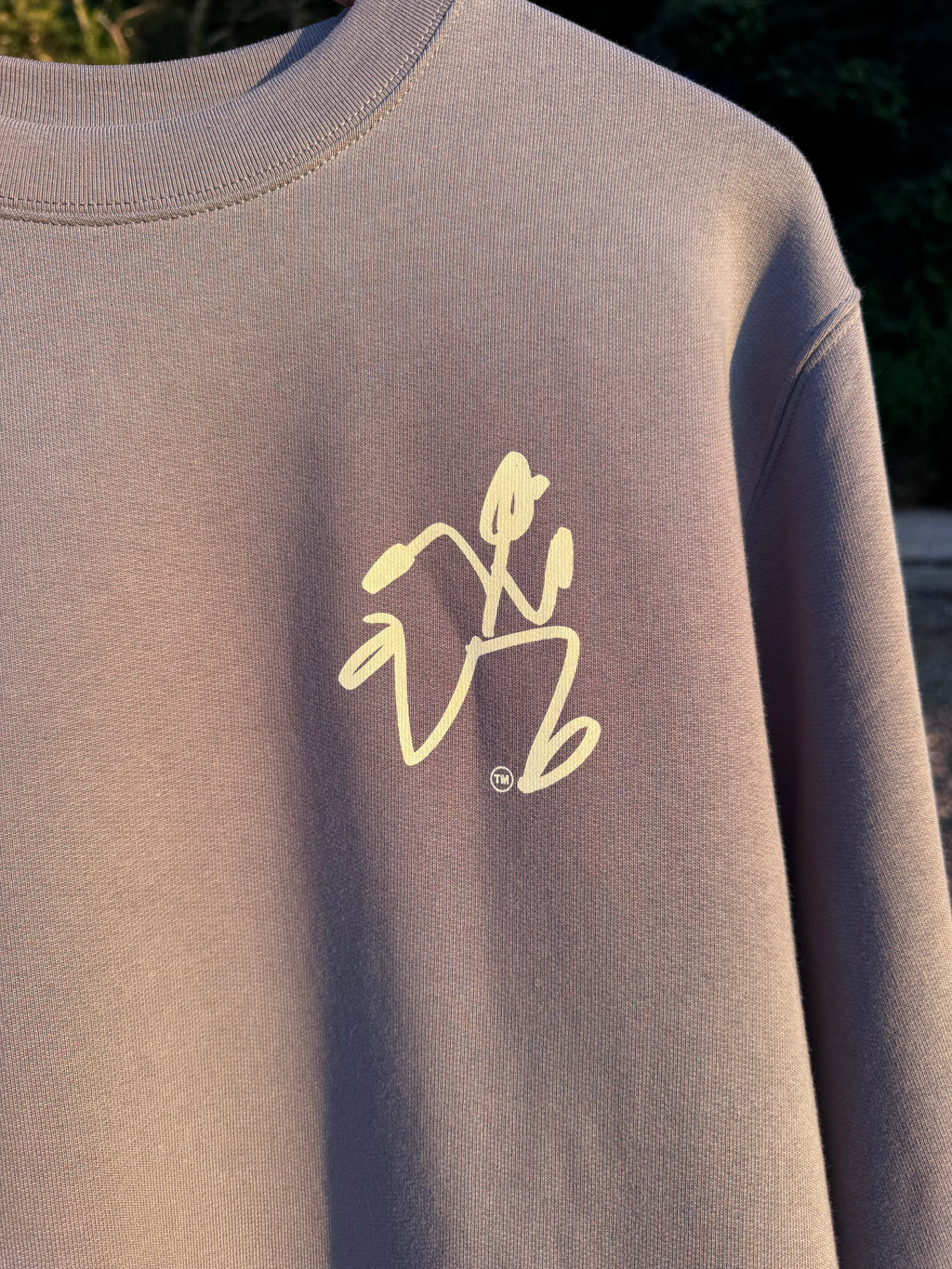'Echo' Sudadera Regular LS Crew Dark