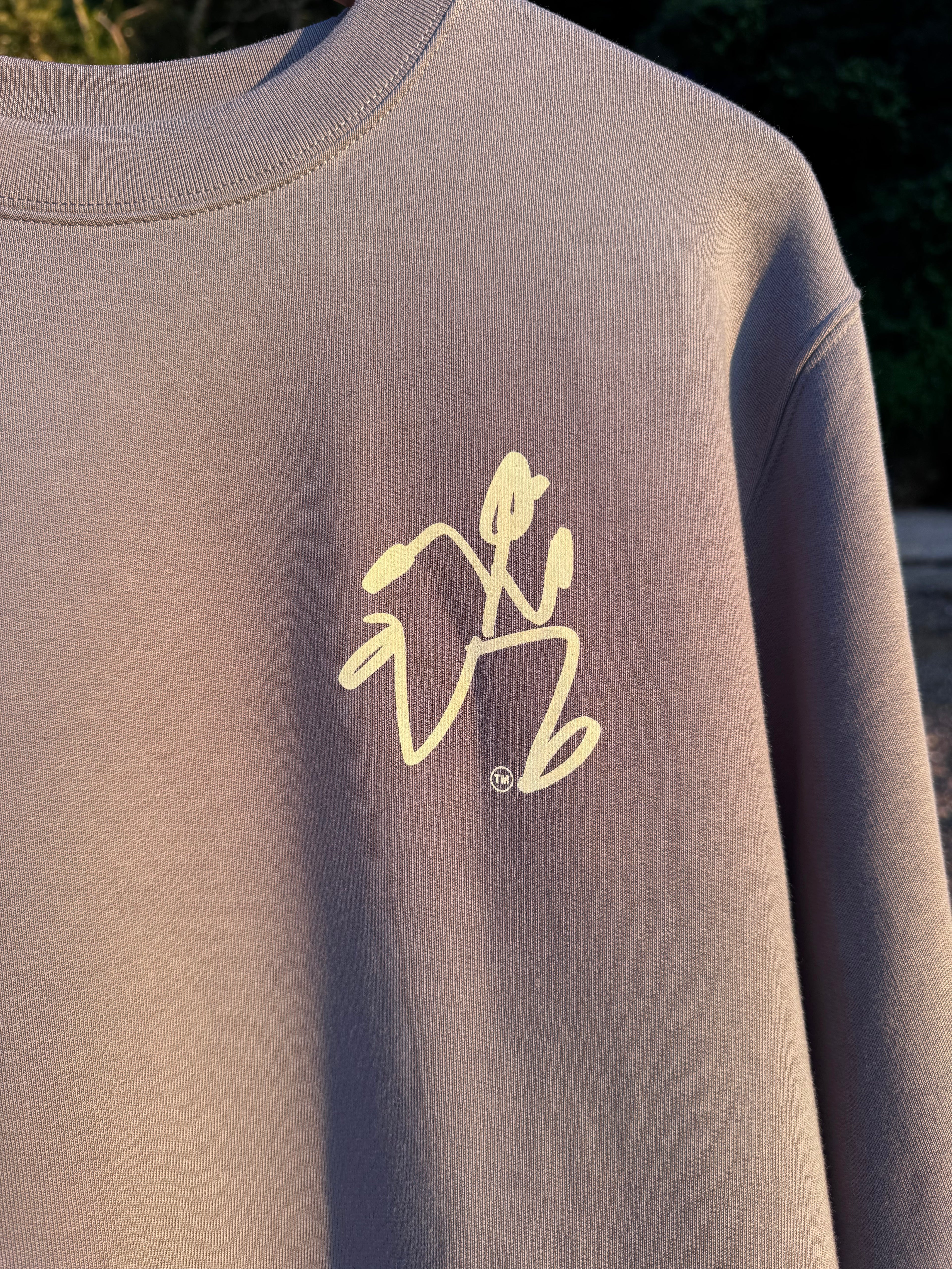 'Echo' Sudadera Regular LS Crew Dark