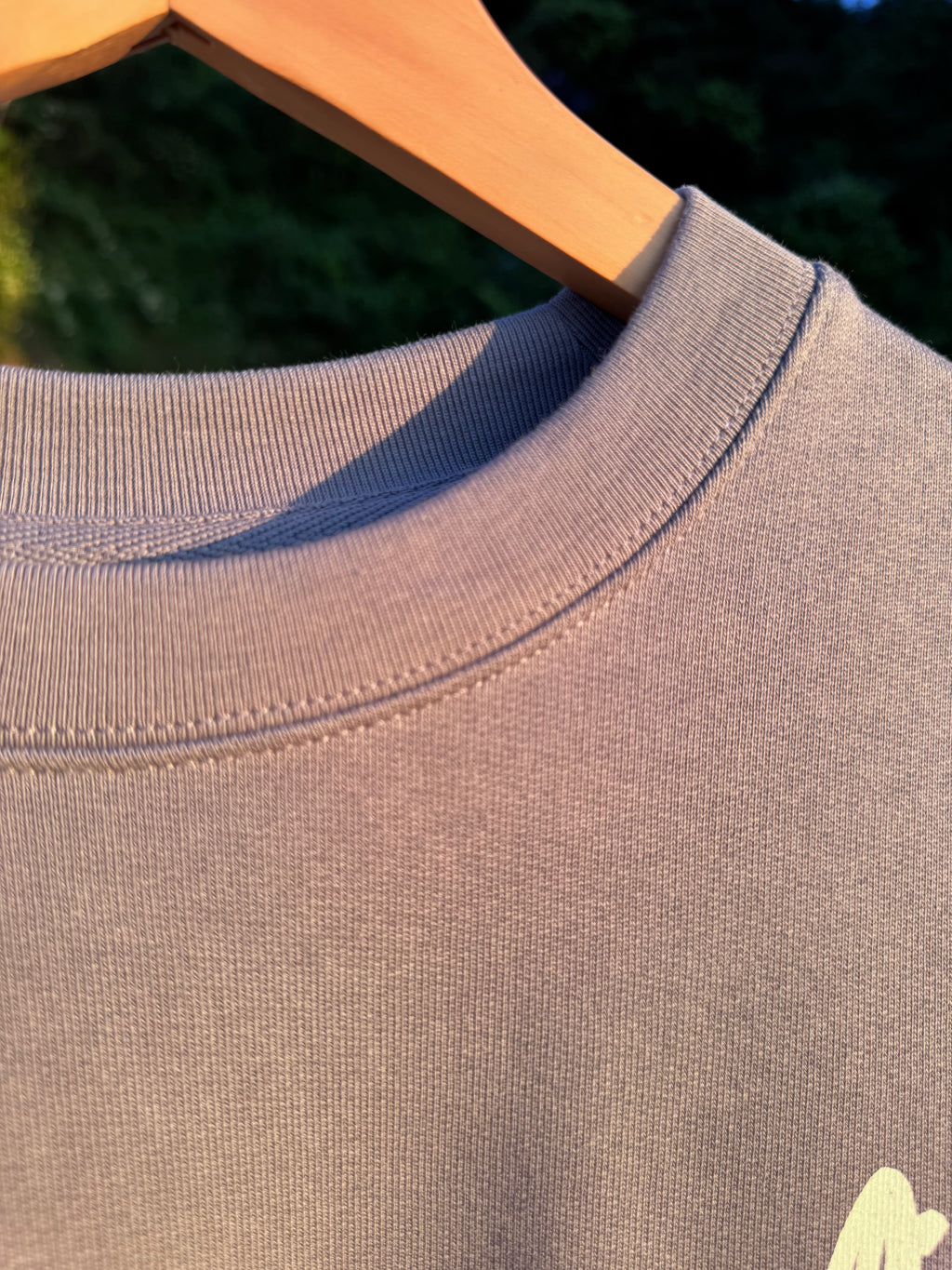 'Echo' Sudadera Regular LS Crew Dark